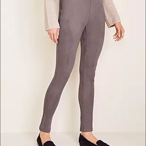 Ann Taylor suede leggings